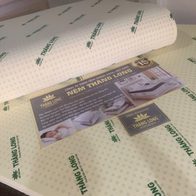 Nệm Thăng Long Memoryfoam